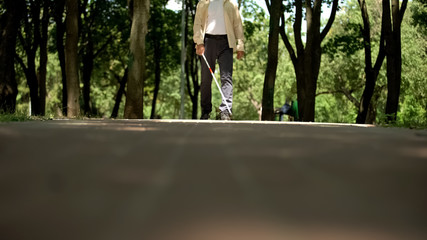 Blind man walking in park, using long cane to scan way for obstacle, orientation