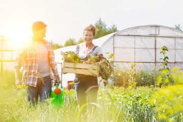 Female farmer carrying newly harvest vegetables in wooden crate while man farmer watering plants