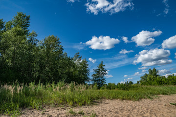 Obraz premium summer, warm, clear, serene, day, trip, journey, walk, rest, nature, flora, landscape, landscape, greenery, trees, thickets, grass, grasses, shade, off, sun, sand, path, blue, sky, white, clouds, spac