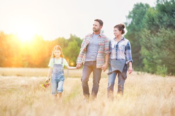Happy family walking in wheat field with yellow lens flare in background © MDBPIXS