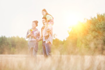 Naklejka na ściany i meble Happy family walking in wheat field with yellow lens flare in background