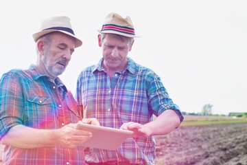 Senior farmer showing digital tablet to mature farmer at farm