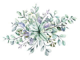 Eucalyptus watercolor leaves. Hand painting botanical illustration. Leaf isolated on white background. 