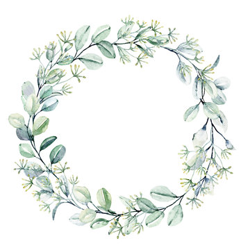 Wreath with eucalyptus, watercolor leaves. Hand painting botanical floral frame. Leaf illustration isolated on white background. © Larisa