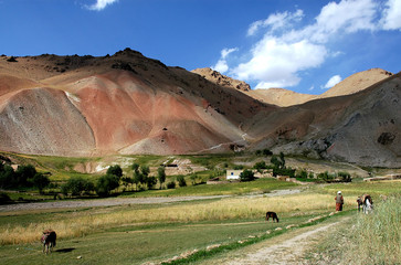 A small village between Chaghcharan and the Minaret of Jam, Ghor Province in Afghanistan: A farm settlement with houses in a remote part of Central Afghanistan. A farmer with his animals.
