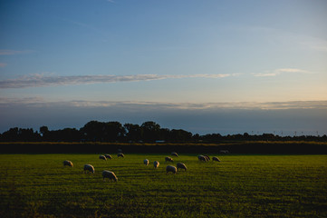Fototapeta na wymiar Sonnenuntergang in Ostfriesland