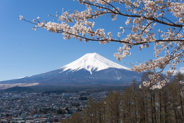 Mt.Fuji with sakura blooming season