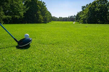 Golf Ball on tee with driver golf club. Golf course with a rich green turf beautiful scenery.	