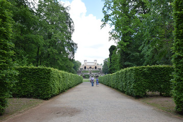 natural scenery in summer 