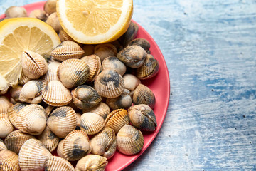 view of fresh cockles on a plate