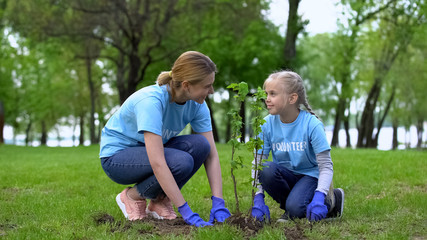 Naklejka na ściany i meble Mom and daughter planting tress in park together, eco volunteer work, earth care