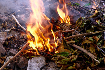 bonfire burns in a meadow, rural landscape