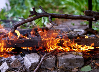 bonfire burns in a meadow, rural landscape