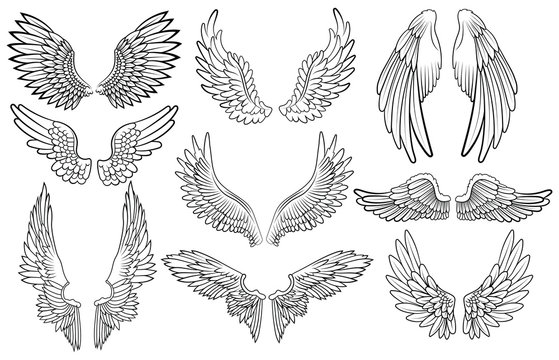 Set of angel wings. Wings collection with feathers. Black white vector illustration. Tattoo.