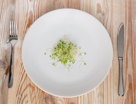 Red Clover Sprouts, Micro Green Healthy Eating Concept
