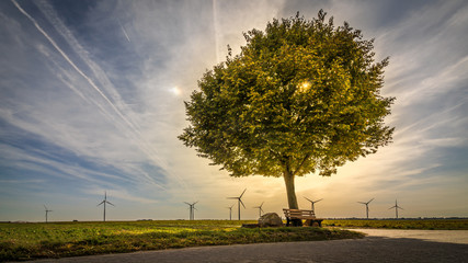 Guten Morgen eine Runde über die Felder vorbei am schönen Baum und den Windrädern