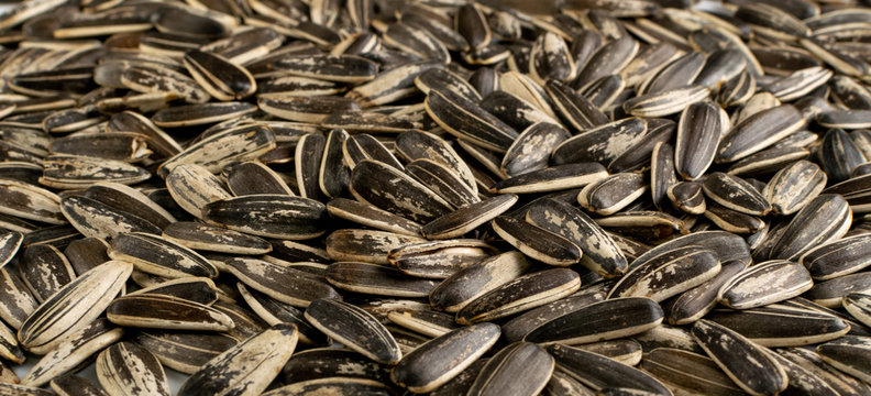 Large striped sunflower seeds with shell texture background