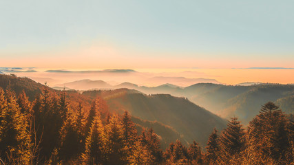 atemberaubendes Panorama von nebliger herbstlicher Landschaft im Schwarzwald - obrazy, fototapety, plakaty