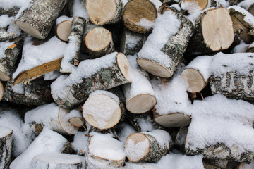 Firewood in the snow against the background of the forest