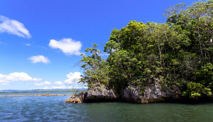 Fototapeta na wymiar Holidays in the Caribbean paradise: Samana, Los Haitises National Park in the Dominican Republic; Bird colonies with endemic bird species