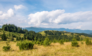 Scenery of the Carpathian mountains on a bright September day