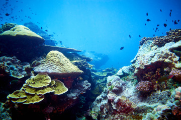 Losin south of Thailand 2018