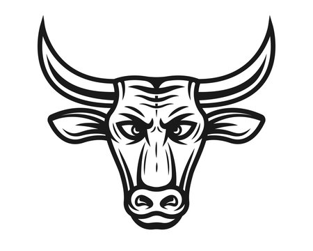 Bull head vector illustration in vintage style