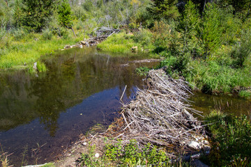 Granby Lake 08/2019