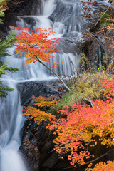 Ryuzu Waterfall Autumn forest Nikko Japan
