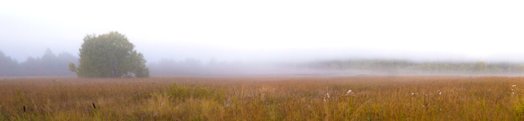 Obraz na płótnie Canvas Autumn panorama with field and fog. Rural landscape