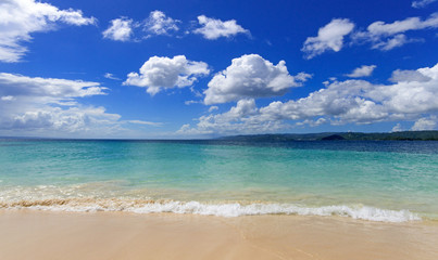 Wonderful holidays on beautiful and lonely lagoon on the paradise beach Cayo Levantado on Samana, Dominican Republic  in the Caribbean with  palms trees, and dream beach and beautiful clear water. 