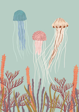 Jellyfish in ocean with sea anemone 
