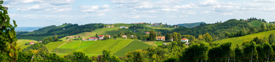 Weinberge in der Südsteiermark, Österreich, im Spätsommer