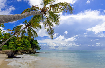 Wonderful holiday on beautiful and lonely lagoon on the paradise beach Cayo Levantado on Samana,...
