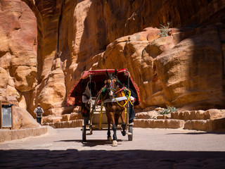 Colorful carriage carried by horses inside a canyon of the historic city of Petra, Jordan