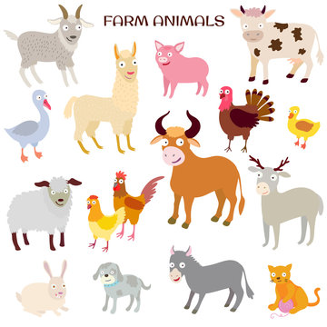 Farm animals set Large collection Vector illustration isolated on white