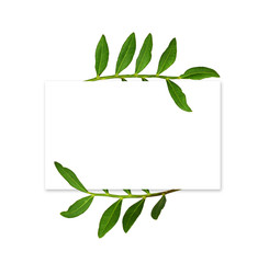 White card with decorative green leaves