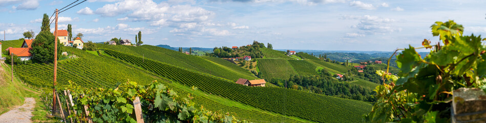 Weinberge in der Südsteiermark, Österreich, im Spätsommer