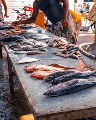 retail sale of fish on the dirty counter at the fish market, around people who watch and choose...