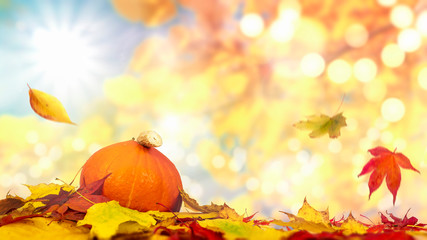 Naklejka na ściany i meble Autumn landscape with sunlight bokeh