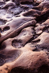 TEXTURE AND FORMS IN ROCKS WEARED BY THE SEA OF THE PORTUGAL COAST
