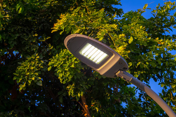 Street LED lighting in the garden, iron pole.