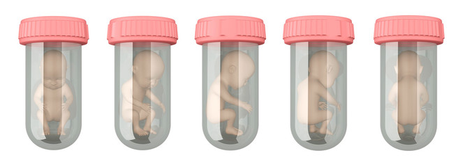 in vitro human embryo