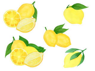 set of fresh lemon fruits isolated on white background