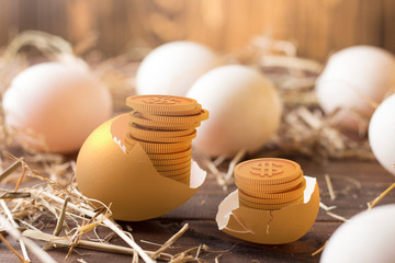 invest in gold egg , concept risk investment in trading asset	