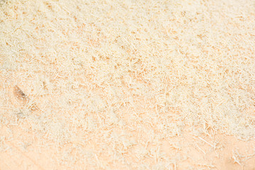 Wood sawdust abstract texture background. - obrazy, fototapety, plakaty