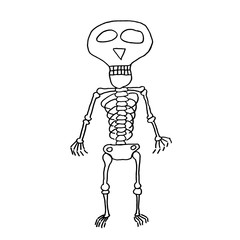 Funny cartoon hand drawn skeleton illustration. Doodle vector skeleton illustration. Isolated skeleton illustration for various projects.