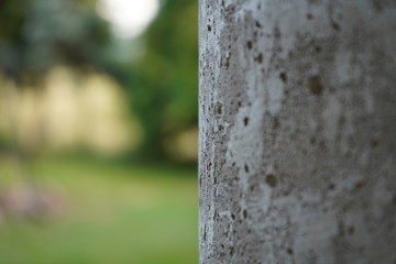 słup betonowy w ogrodzie © MAREK