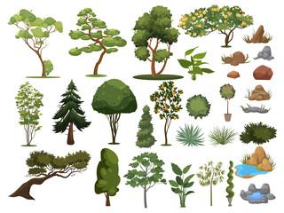 Set van bomen en struiken. Collectie van landschapsontwerpelementen. Vectorillustratie van planten. Naald- en loofbomen voor parken.