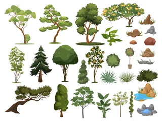 Rolgordijnen Set van bomen en struiken. Collectie van landschapsontwerpelementen. Vectorillustratie van planten. Naald- en loofbomen voor parken. © Igor
